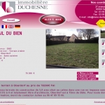 immobilier-saint-louis